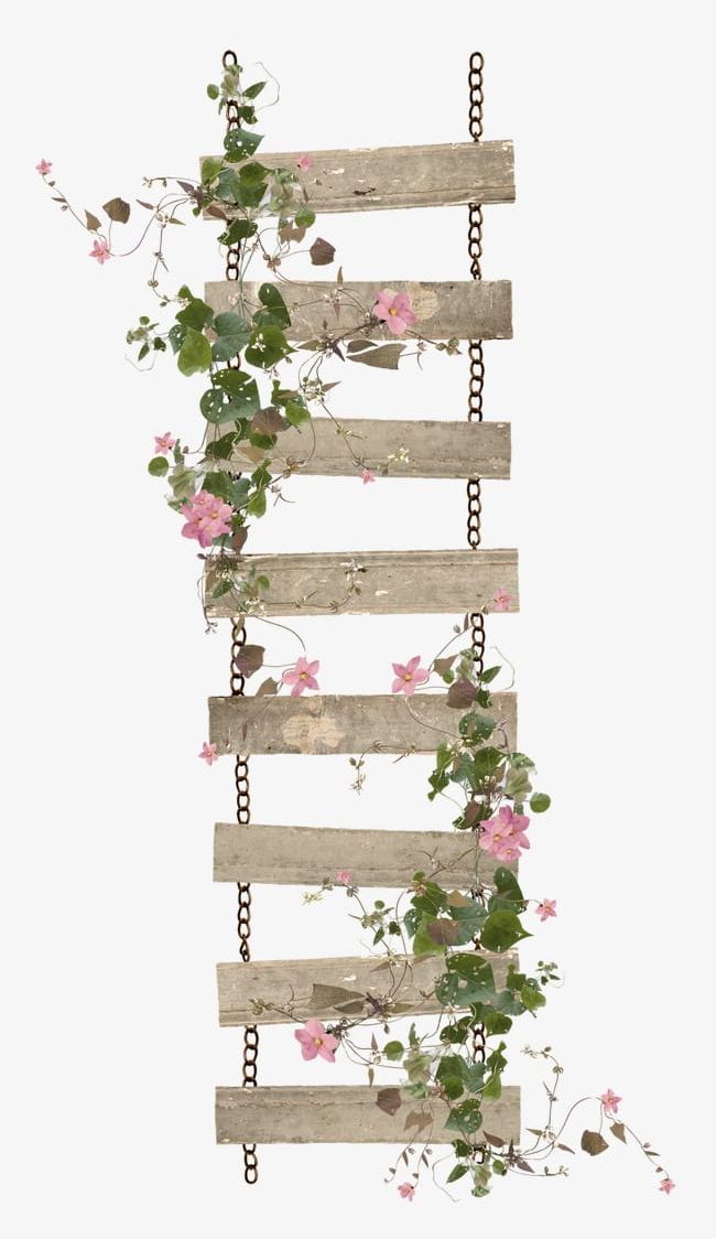Foliage Ladder PNG, Clipart, Board, Branches, Branches And Leaves, Chain, Flowers Free PNG Download