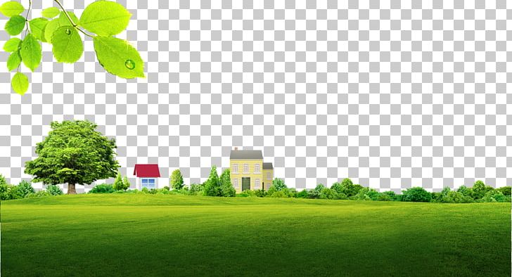 Green PNG, Clipart, Artificial Grass, Building, Computer Wallpaper, Encapsulated Postscript, Free Logo Design Template Free PNG Download