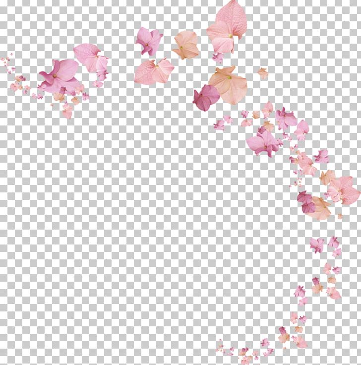Portable Network Graphics Adobe Photoshop Flower PNG, Clipart, Ansichtkaart, Blossom, Cherry Blossom, Cut Flowers, Editing Free PNG Download