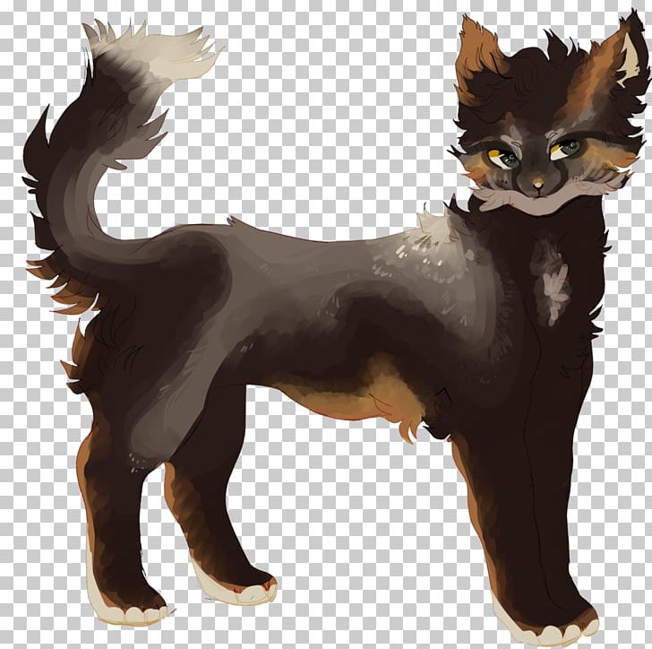 Whiskers Puppy Cross Fox Dog Kitten PNG, Clipart, Animals, Breed, Carnivoran, Cat, Cat Like Mammal Free PNG Download