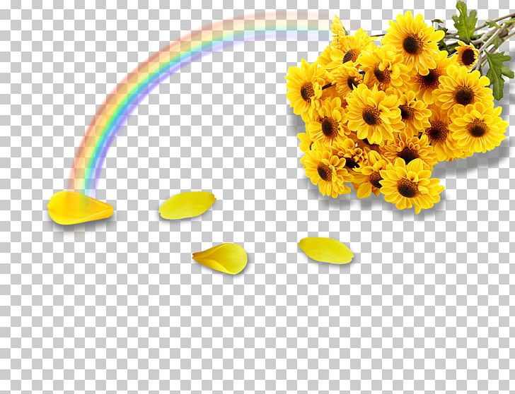 Color PNG, Clipart, Adobe Illustrator, Chrysanthemum Vector, Color, Encapsulated Postscript, Flower Free PNG Download