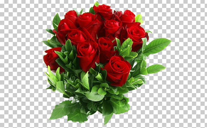 Rose PNG, Clipart, Annual Plant, Cut Flowers, Desktop Wallpaper, Display Resolution, Floribunda Free PNG Download