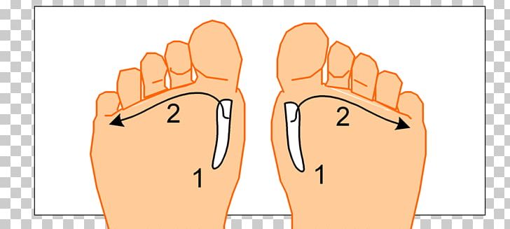 Thumb Toe Chin Cheek Finger PNG, Clipart, Arm, Cheek, Chin, Ear, Face Free PNG Download