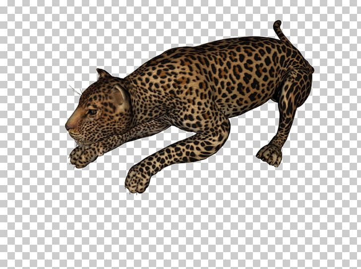 Leopard Jaguar Cheetah PhotoScape PNG, Clipart, Animal, Animal Figure, Big Cats, Carnivoran, Cat Like Mammal Free PNG Download
