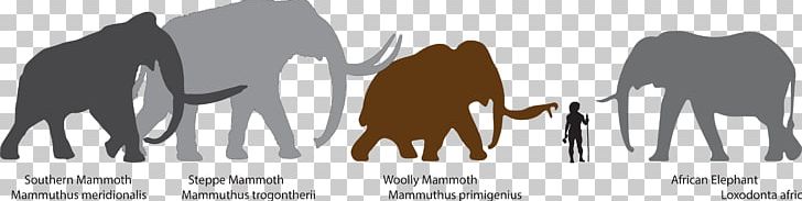 Mammuthus Meridionalis Woolly Mammoth African Bush Elephant Steppe Mammoth Columbian Mammoth PNG, Clipart, African Elephant, American Mastodon, Animals, Black And White, Brand Free PNG Download