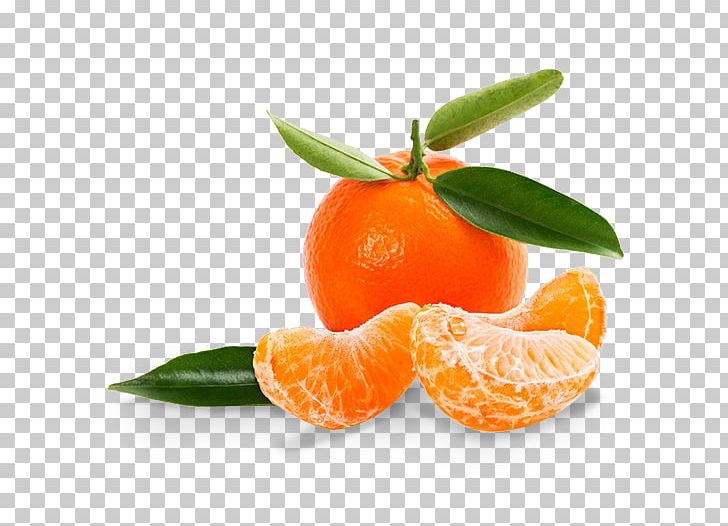 Mandarin Orange Tangerine Clementine Satsuma Mandarin Grapefruit PNG, Clipart, Bitter Orange, Chenpi, Citric Acid, Citrus, Citrus Fruit Free PNG Download