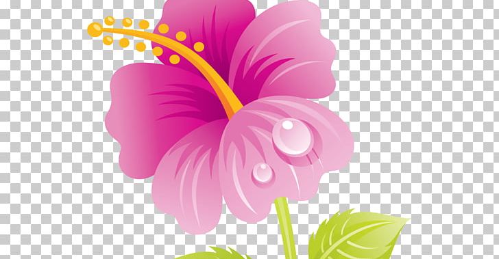 Mother's Day Flower Bouquet Granny PNG, Clipart,  Free PNG Download