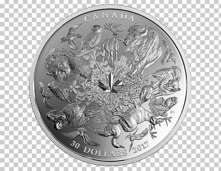 Silver Coin Bullion Coin PNG, Clipart, Banknote, Black And White, Bullion, Bullion Coin, Coin Free PNG Download