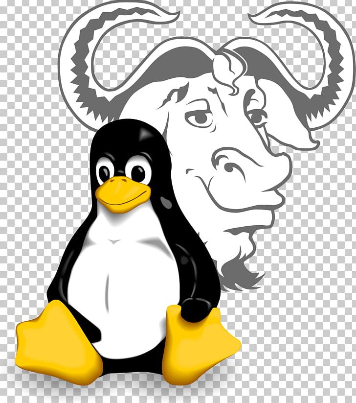 GNU/Linux Naming Controversy GNU Project Computer Software PNG, Clipart, Artwork, Beak, Bird, Computer Software, Flightless Bird Free PNG Download