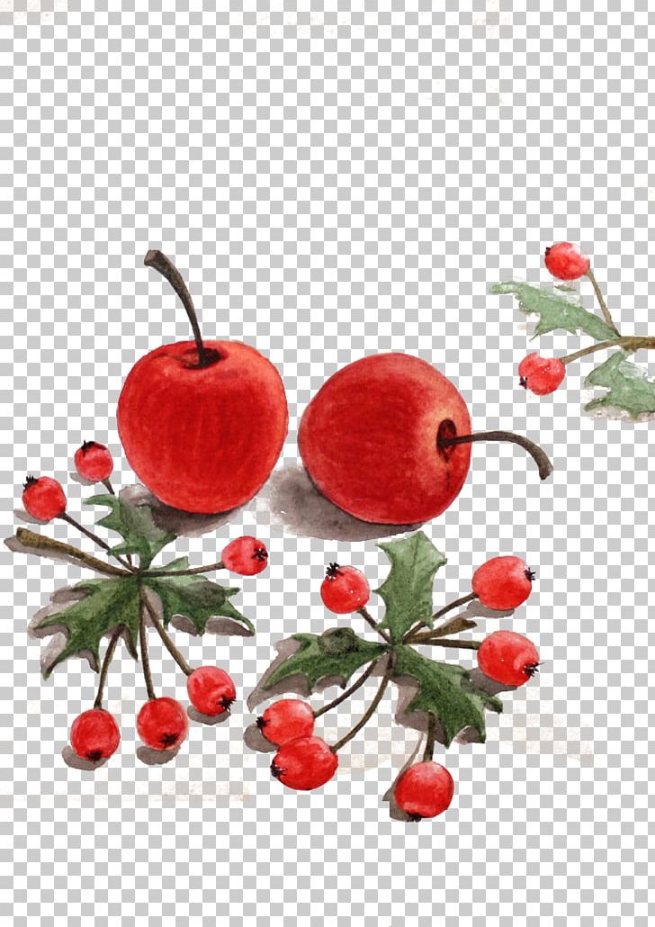 Strawberry Watercolor Painting Auglis PNG, Clipart, Apple, Auglis, Berry, Branch, Cherry Free PNG Download