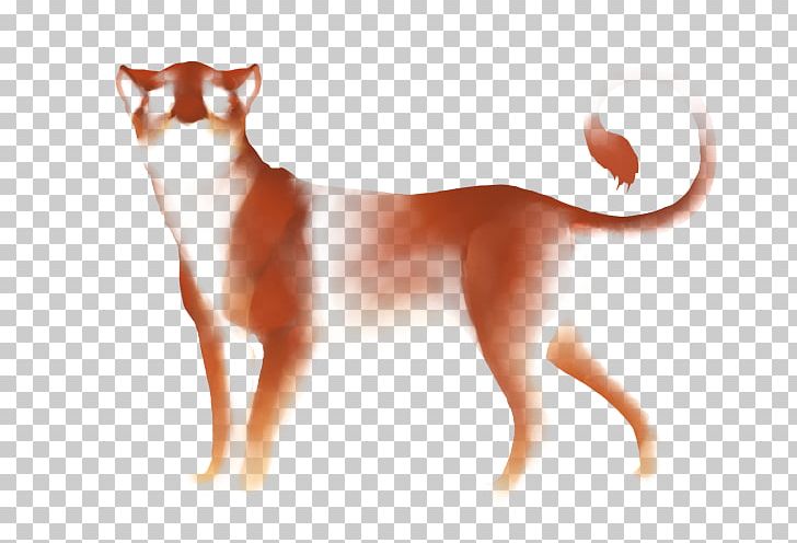 Whiskers Kitten Dog Breed Cat PNG, Clipart, Animals, Breed, Carnivoran, Cat, Cat Like Mammal Free PNG Download
