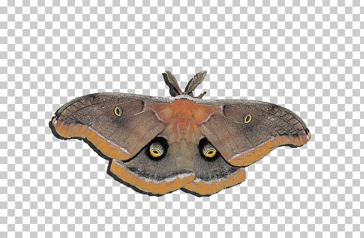 Butterfly Moth Insect Sgt. Al Powell Red PNG, Clipart, Arthropod, Baby Toddler Onepieces, Bombycidae, Butterflies And Moths, Butterfly Free PNG Download