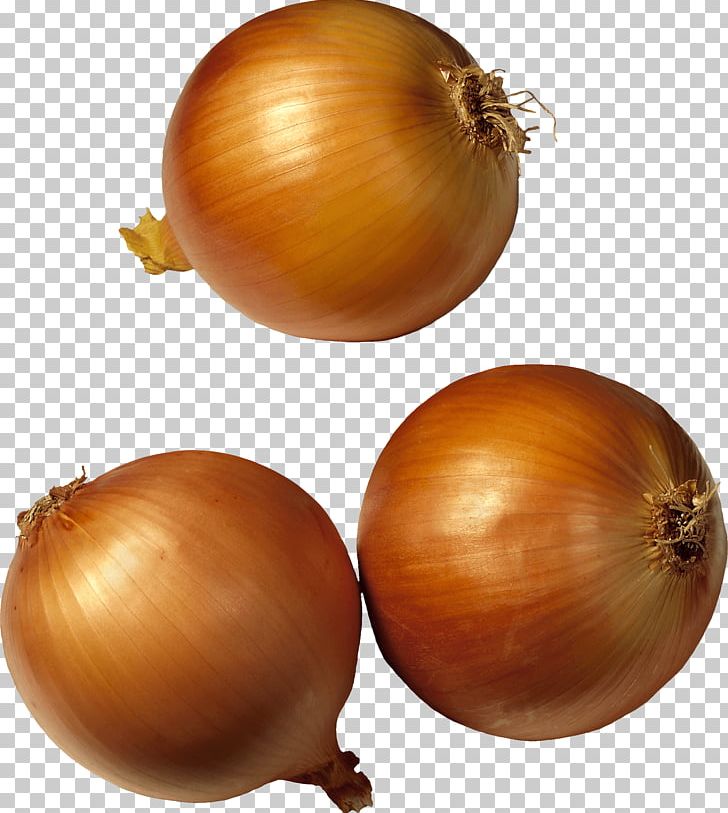 Potato Onion Shallot Vegetable PNG, Clipart, Athletes, Food, Fried Onion, Fruits, Garlic Free PNG Download