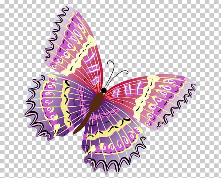 Butterfly Color PNG, Clipart, Animal, Brush Footed Butterfly, Cartoon, Download, Encapsulated Postscript Free PNG Download