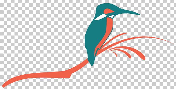 Halcyon Home Central Alt Attribute Beak PNG, Clipart, Alt Attribute, Attribute, Austin, Beak, Bird Free PNG Download