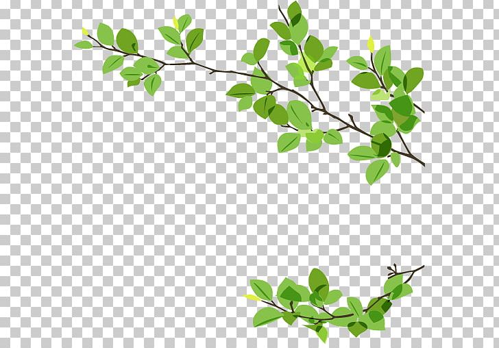 Leaf Branch Twig Green PNG, Clipart, Branch, Bud, Desktop Wallpaper, Flowering Plant, Grass Free PNG Download