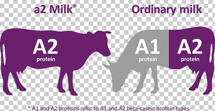 The A2 Milk Company Cattle Dairy Products PNG, Clipart, A2 Milk Company, Asxa2m, Australian Securities Exchange, Brand, Casein Free PNG Download