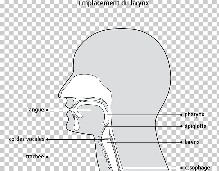 Thumb Cheek Mouth Jaw Finger PNG, Clipart, Abdomen, Angle, Arm, Black And White, Bone Free PNG Download