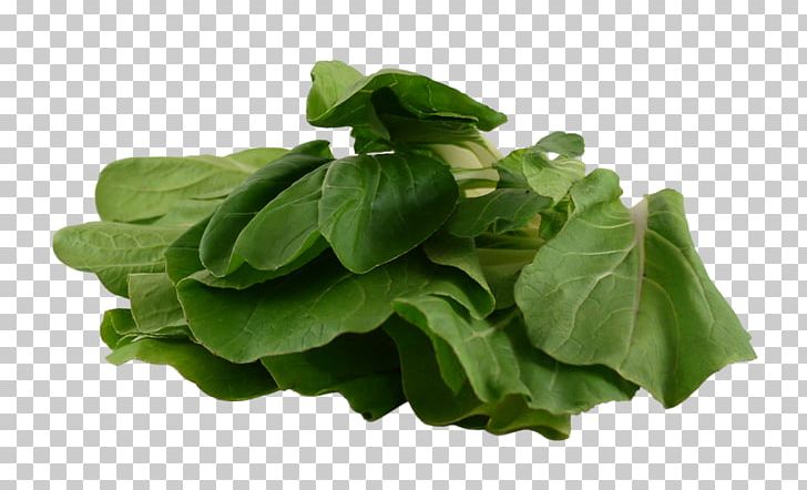 Spinach Vegetarian Cuisine Leaf Vegetable Chard PNG, Clipart, Basil, Bok Choy, Chard, Choy Sum, Collard Greens Free PNG Download