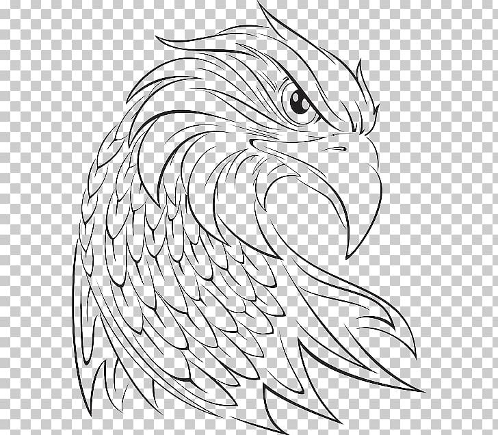 Drawing PNG, Clipart, Art, Artwork, Bald Eagle, Beak, Bird Free PNG Download
