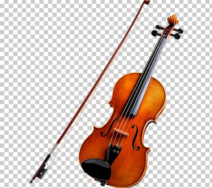 String Instruments Violin Musical Instruments Cello Viola PNG, Clipart, Banjo, Bass Guitar, Bass Violin, Bow, Bowed String Instrument Free PNG Download
