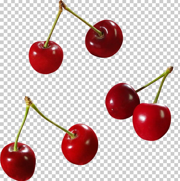 Sweet Cherry Cerasus Malpighia Glabra PNG, Clipart, Acerola, Acerola Family, Cerasus, Cherry, Food Free PNG Download