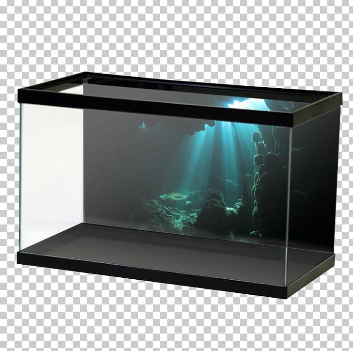 My Fish Tank Aquarium Koi Terrarium Pelvicachromis Pulcher PNG, Clipart, Aquarium, Cat Tree, Fish, Glass, Horned Lizard Free PNG Download