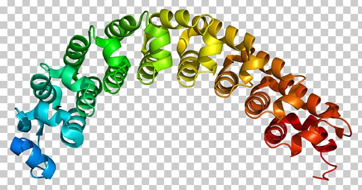 PUM1 CPEB RNA-binding Protein PUM2 PNG, Clipart, Binding Protein, Conserved Sequence, Ensembl, Gene, Gene Prediction Free PNG Download