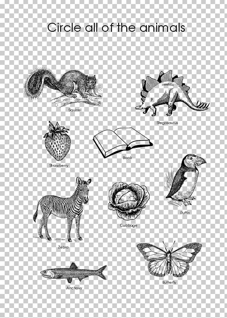 Animal Cat Worksheet Horse Vertebrate PNG, Clipart, Angle, Animal, Animals, Area, Art Free PNG Download