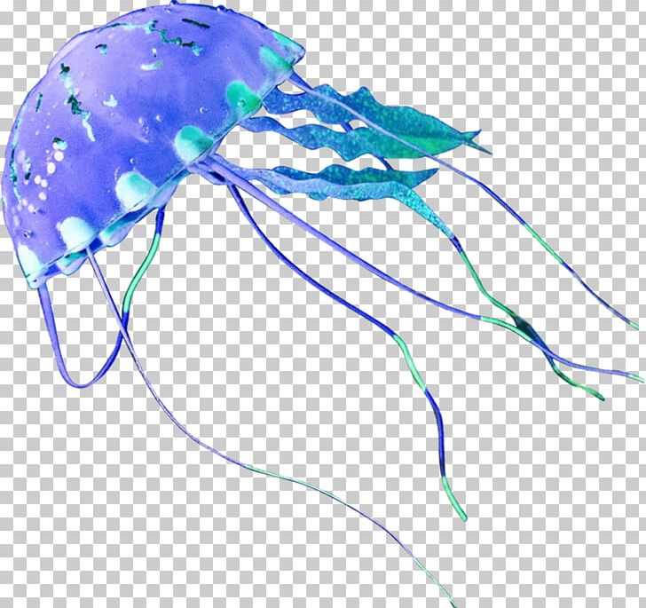 Jellyfish PNG, Clipart, Jellyfish Free PNG Download