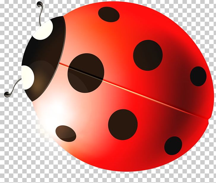 Ladybird Beetle PNG, Clipart, Cartoon, Circle, Coc, Coccinella Septempunctata, Cute Free PNG Download