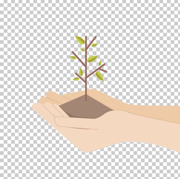 Tree Nature Business PNG, Clipart, Botany, Branch, Business, Common Sunflower, Computer Icons Free PNG Download