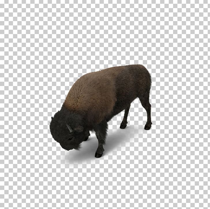 American Bison Herbivore Dog Breed PNG, Clipart, 3d Computer Graphics, African American Woman, American, American Bison, American Comics Free PNG Download