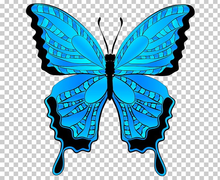 Butterfly PNG, Clipart, Arthropod, Blue, Brush Footed Butterfly, Butterflies And Moths, Butterfly Free PNG Download