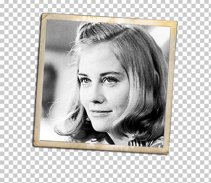 Cybill Shepherd Taxi Driver Photography PNG, Clipart, Actor, Chin, Columbia Pictures, Cybill Shepherd, Eyebrow Free PNG Download