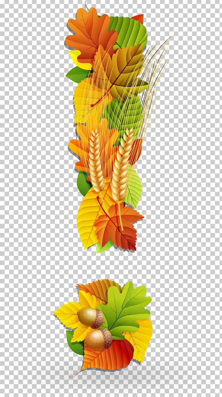 Floral Design Maple Leaf Autumn PNG, Clipart, Autumn Leaf Color, Botany, Check Mark, Decorative, Fall Leaves Free PNG Download