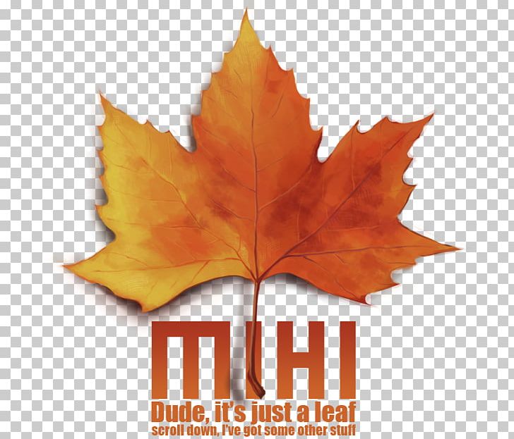 Maple Leaf Art Word PNG, Clipart, Art, Leaf, Maple, Maple Leaf, Others Free PNG Download