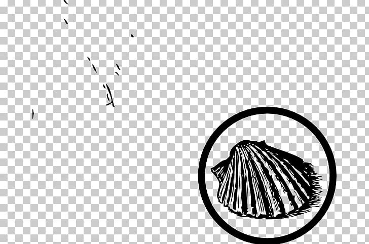 Seashell Beach Art PNG, Clipart, Animals, Art, Beach, Black, Black And White Free PNG Download