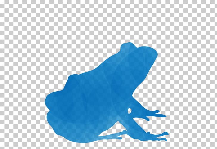 Frog Marine Mammal Turquoise PNG, Clipart, Amphibian, Animals, Aqua, Blue, Frog Free PNG Download