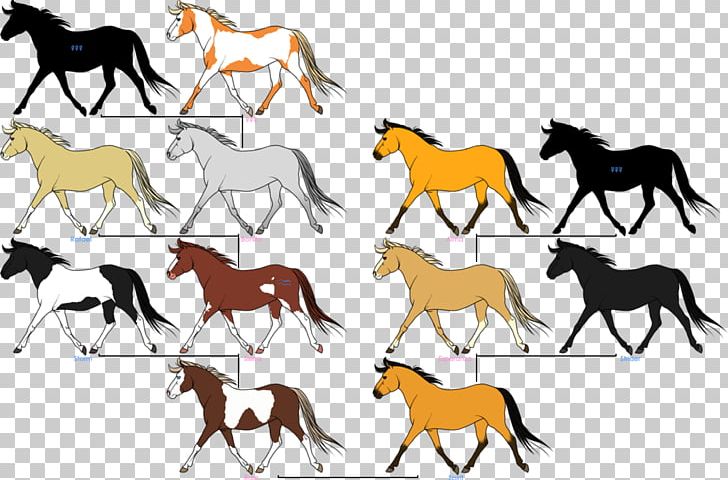 Mustang Horses Drawing Family Tree PNG, Clipart, Animation, Coloring Book, Colt, Desktop Wallpaper, Deviantart Free PNG Download