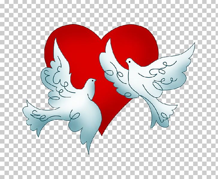 Columbidae Wedding Doves As Symbols PNG, Clipart, Art, Cartoon, Clip Art, Columbidae, Doves As Symbols Free PNG Download