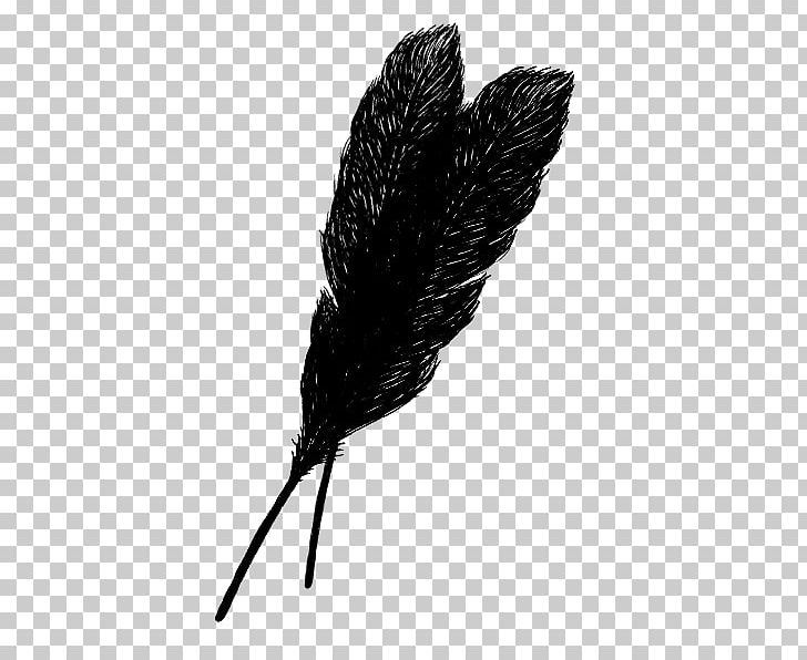 Feather Archaeopteryx PNG, Clipart, Animals, Archaeopteryx, Black And White, Blog, Copying Free PNG Download