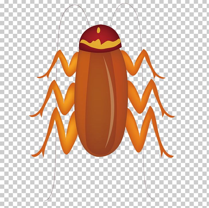 Spider Insect Euclidean PNG, Clipart, Adobe Illustrator, Animals, Beard, Download, Encapsulated Postscript Free PNG Download