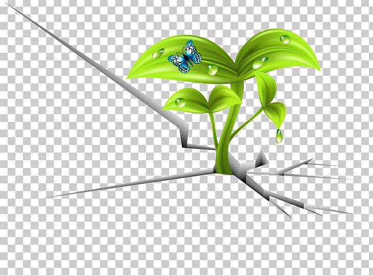 Euclidean PNG, Clipart, Angle, Area, Branch, Brand, Butterfly Free PNG Download