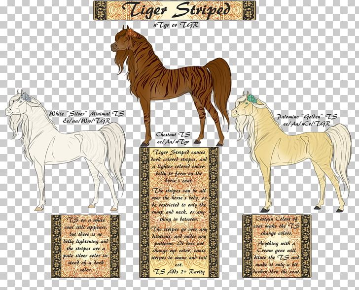 Mane Mustang American Quarter Horse Stallion Pony PNG, Clipart,  Free PNG Download