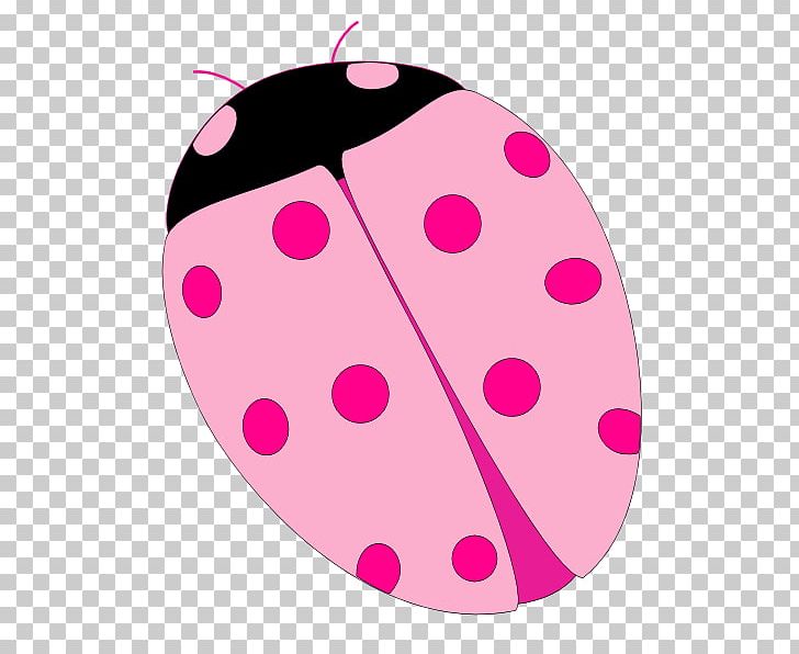 Polka Dot Ladybird Beetle Circle Pink M PNG, Clipart, Circle, Education Science, Heart, Ladybird, Ladybug Free PNG Download
