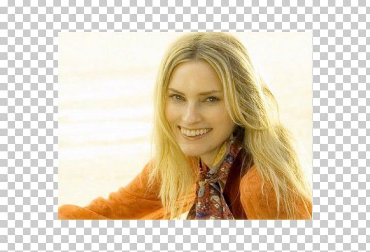 Aimee Mann Blond Lost In Space Layered Hair Hair Coloring PNG, Clipart, Aimee Mann, Album, Blond, Brown Hair, Forehead Free PNG Download