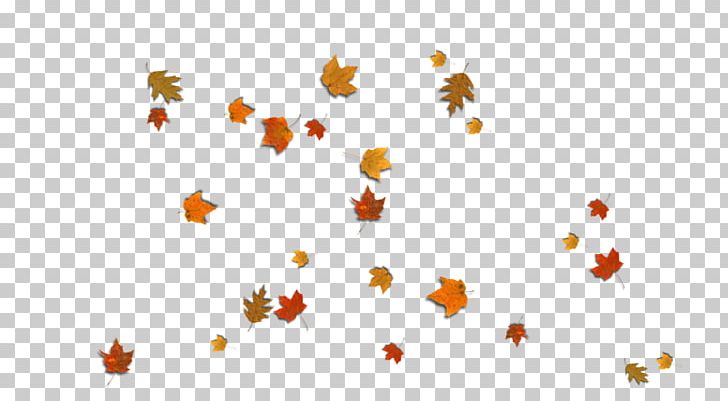 Autumn Leaf Color Desktop PNG, Clipart, August, Autumn, Autumn Leaf Color, Computer Wallpaper, Desktop Wallpaper Free PNG Download