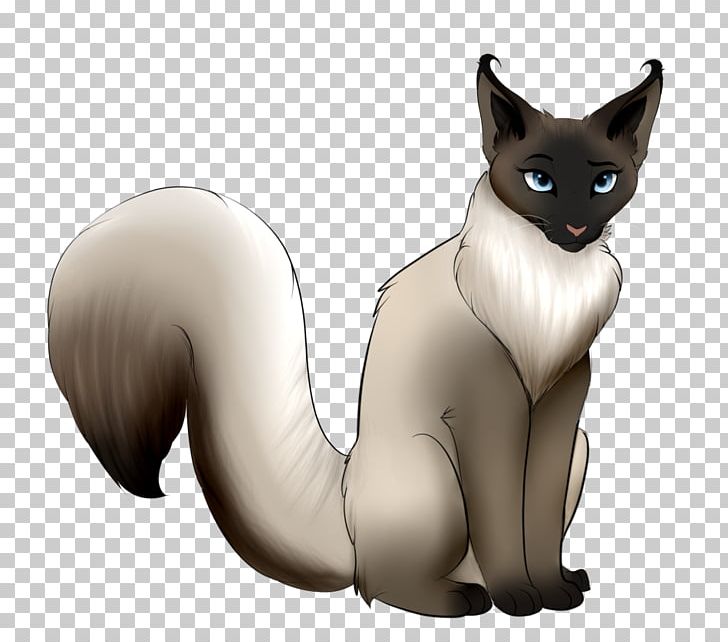 Balinese Cat Whiskers Kitten Domestic Short-haired Cat Siamese Cat PNG, Clipart, Balinese Cat, Canidae, Carnivoran, Cat, Catgirl Free PNG Download