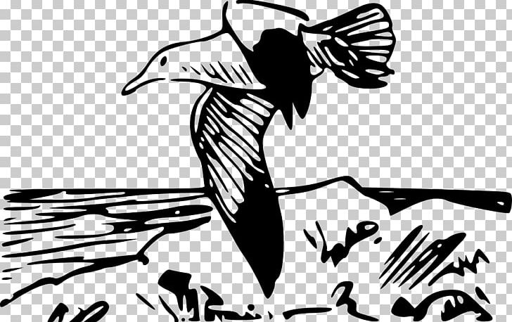 Bird Gulls European Herring Gull Flight Crows PNG, Clipart, Animals, Art, Artwork, Bird, Bird Flight Free PNG Download